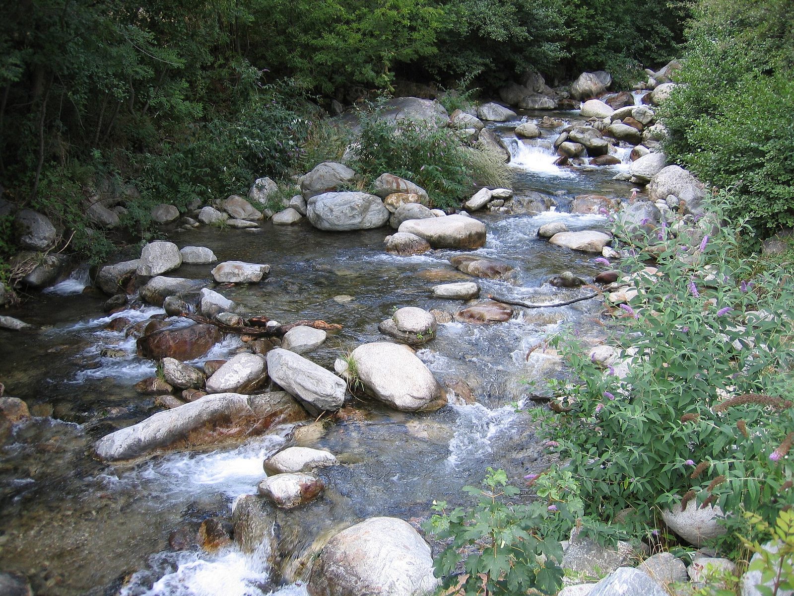 Gorges de la Vésubie