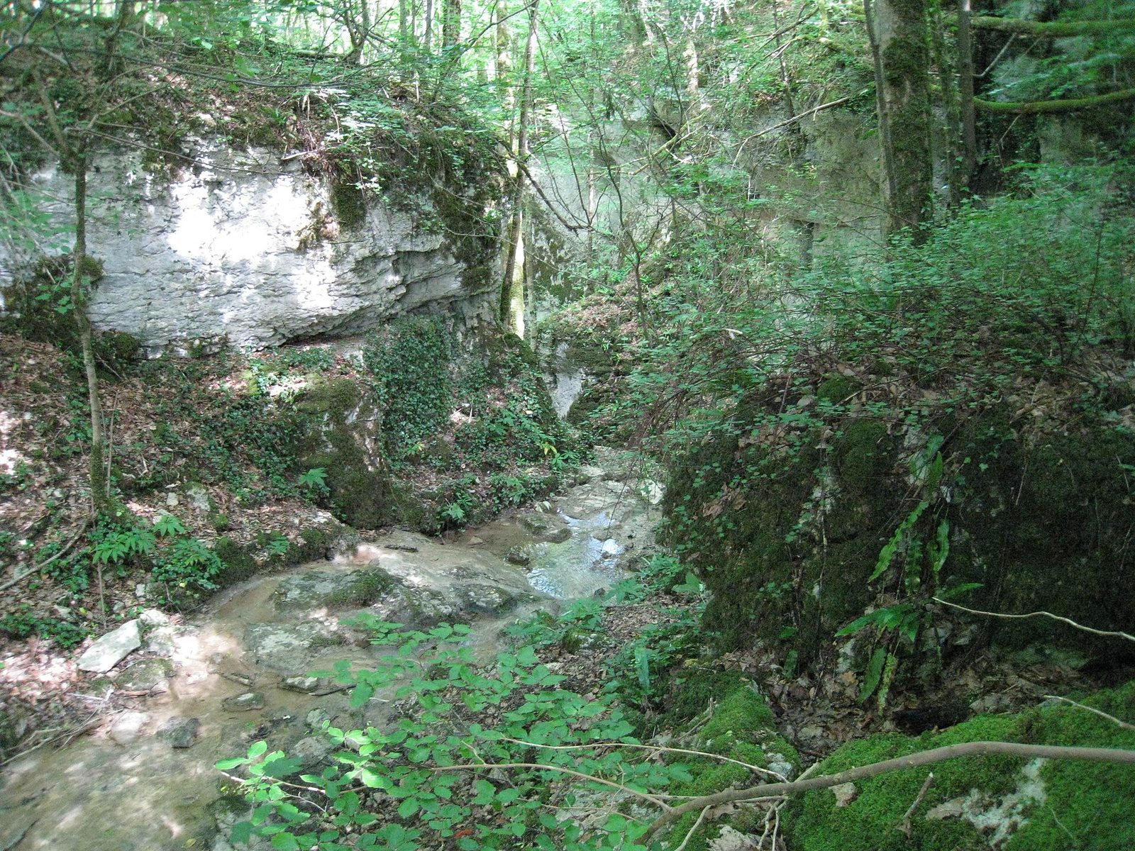 Gorges de la Vingeanne