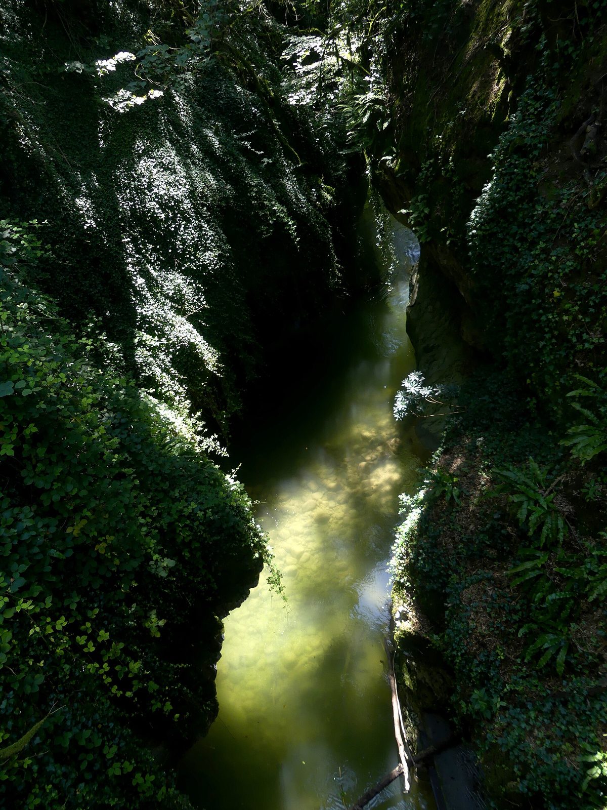 Gorges et cascade du Sierroz