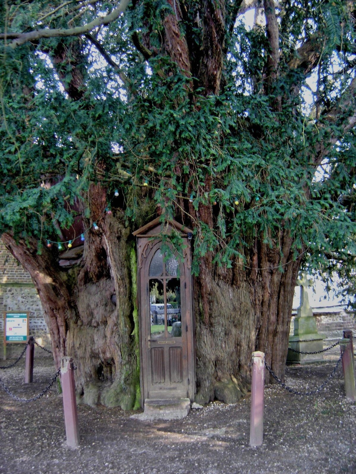Ifs de la Haye de Routot