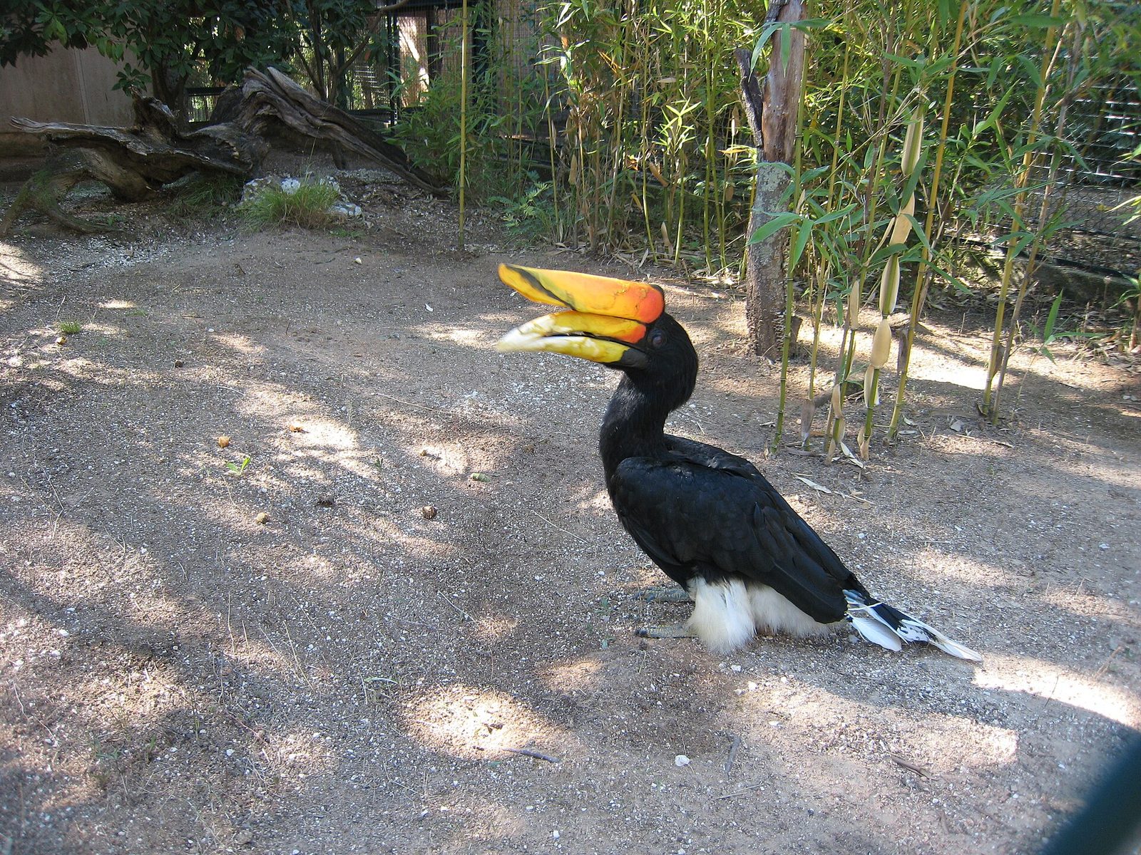 Jardin Zoologique Tropical