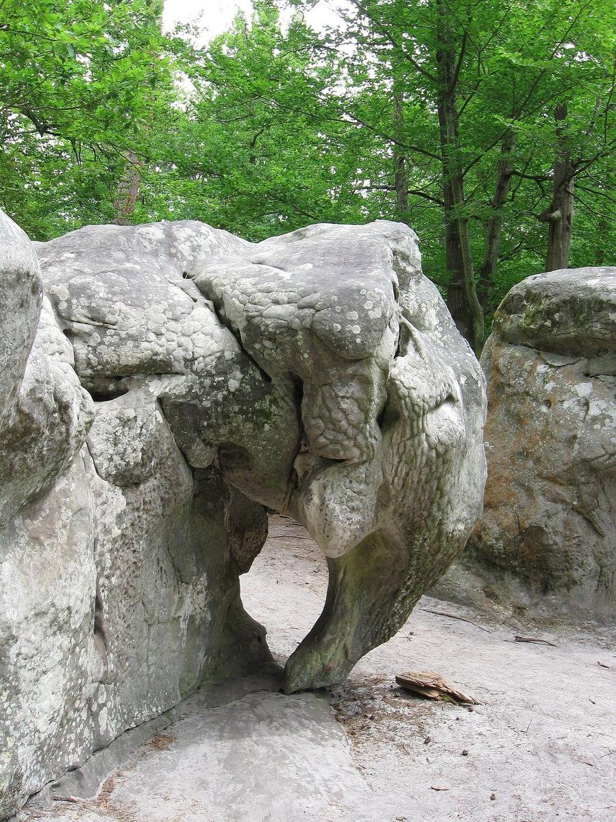 L'Eléphant d'Apremont