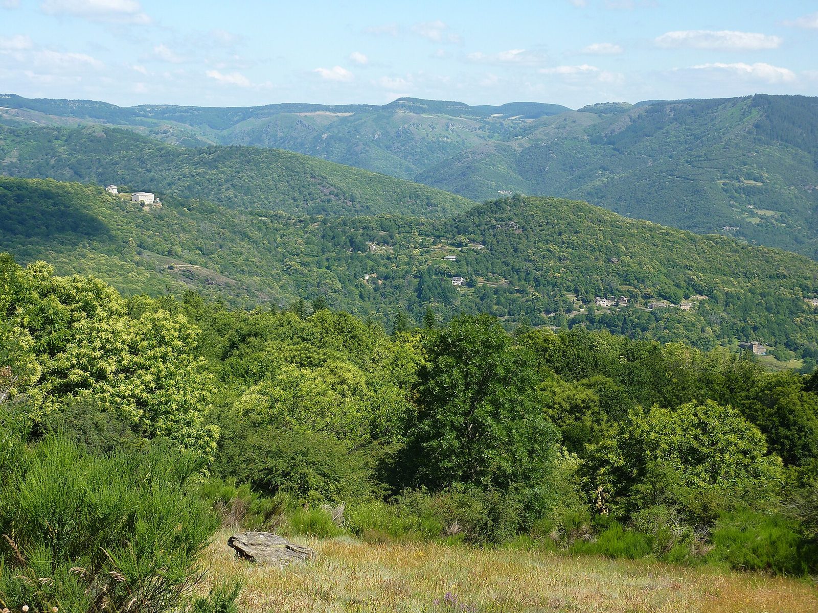 La Ferme des Cévennes