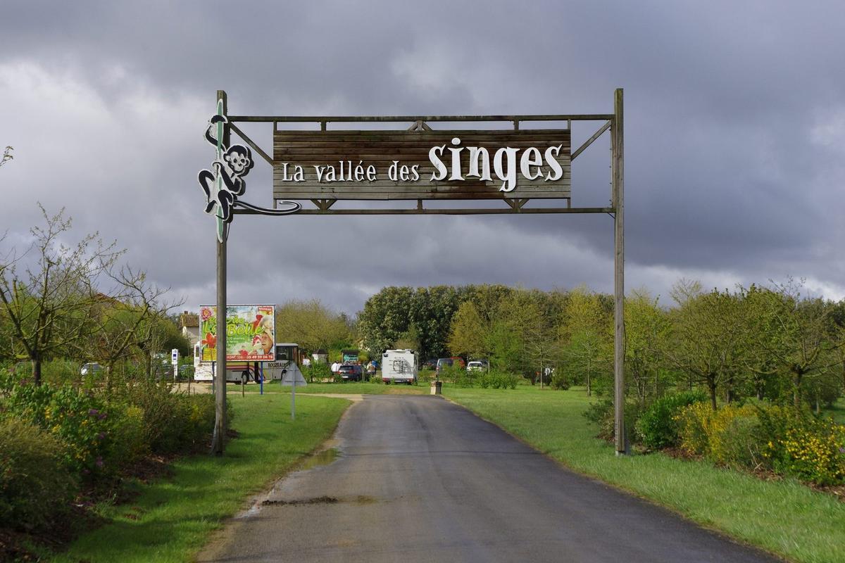 la Vallèe des Singes - Romagne