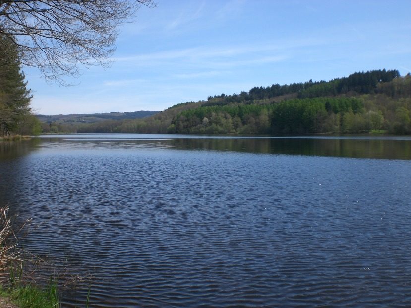 Lac de Saint-Pardoux