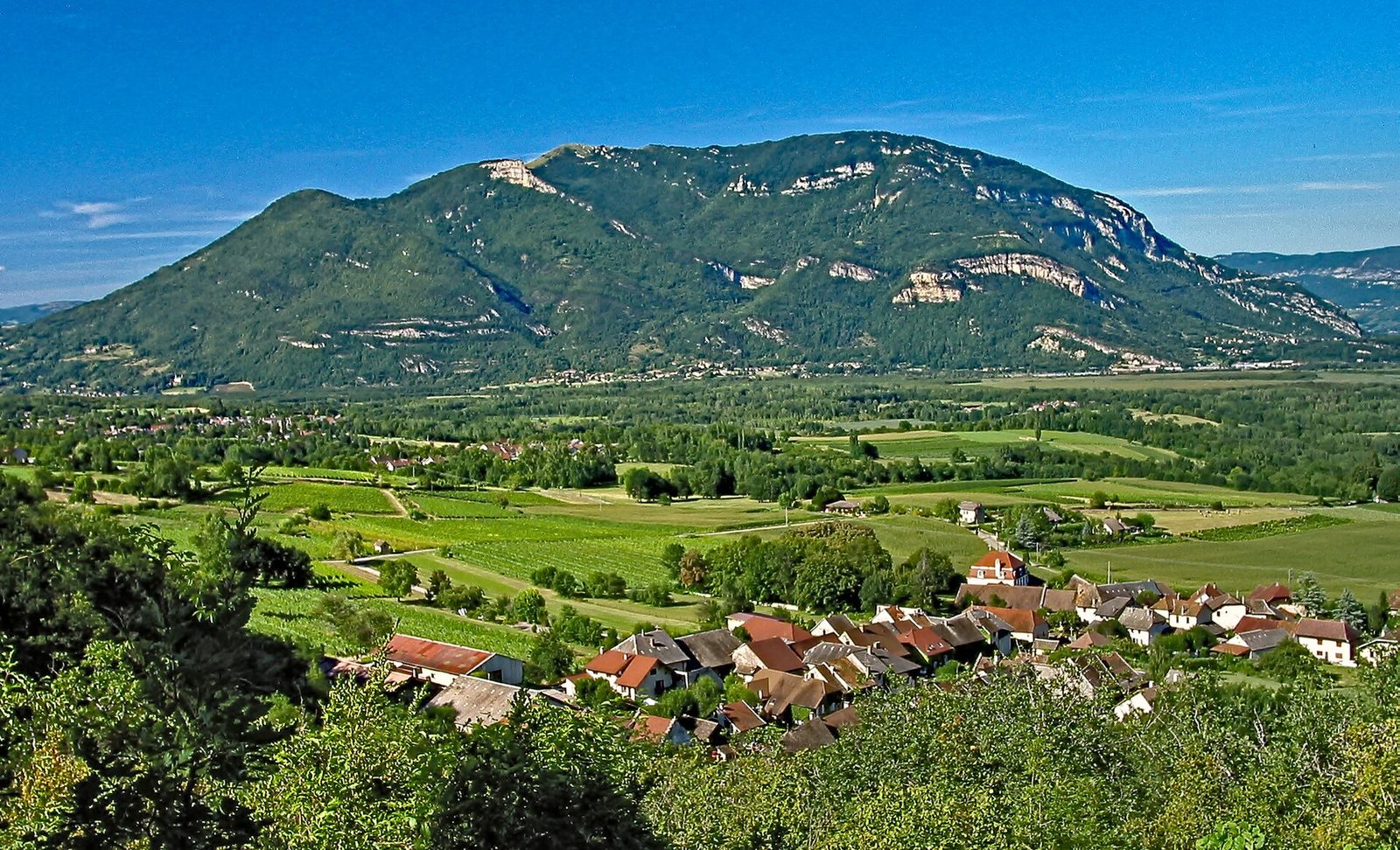 Le Grand Colombier