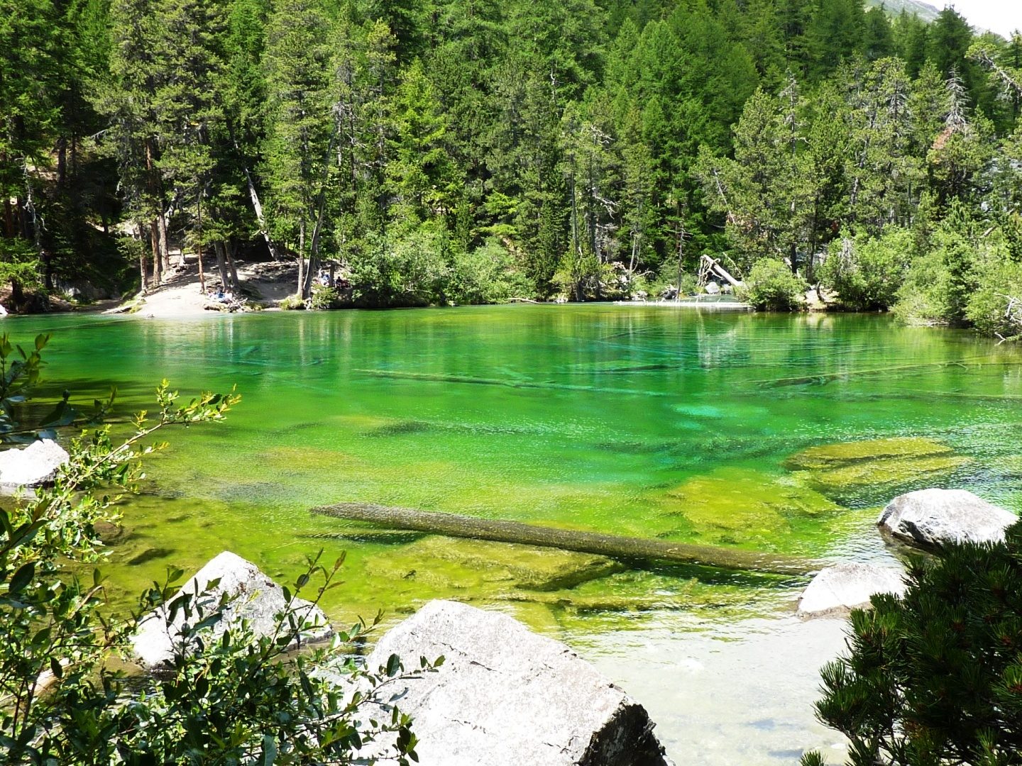 Le Lac Vert (Lago Verde)