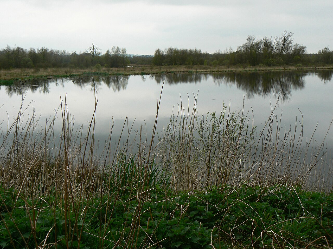 Le Marais du Grand Hazé