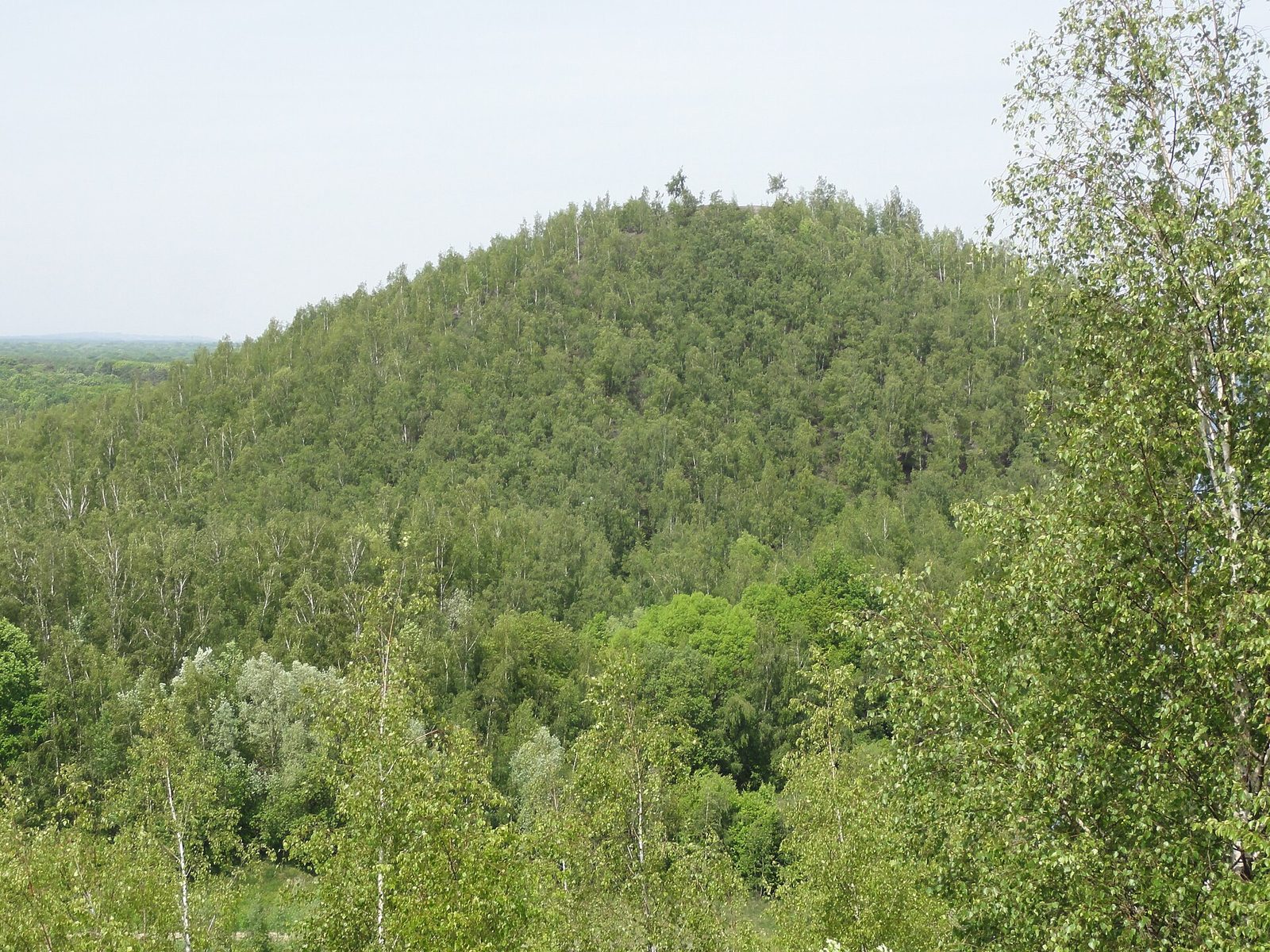 Le Terril du Mont de L'Ermite