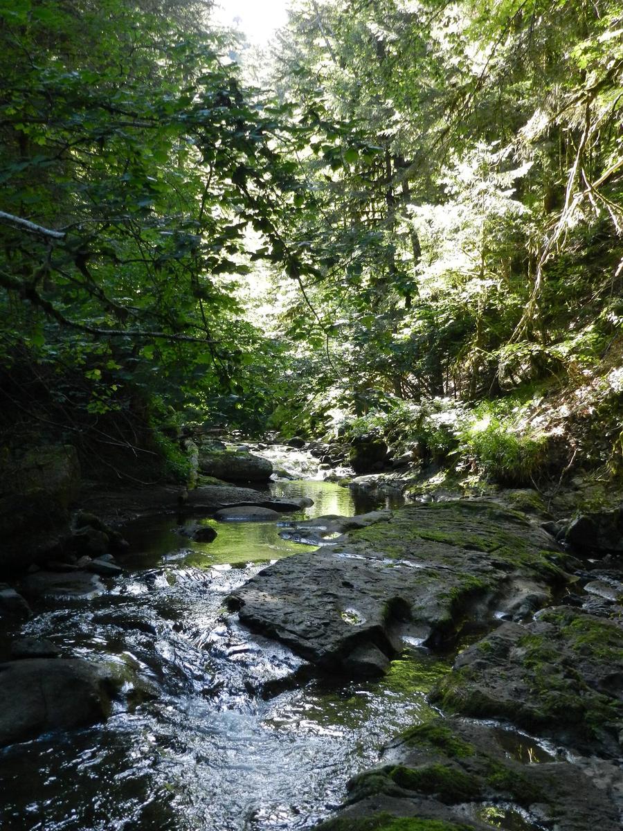 Les Cascades de l'Alagnon