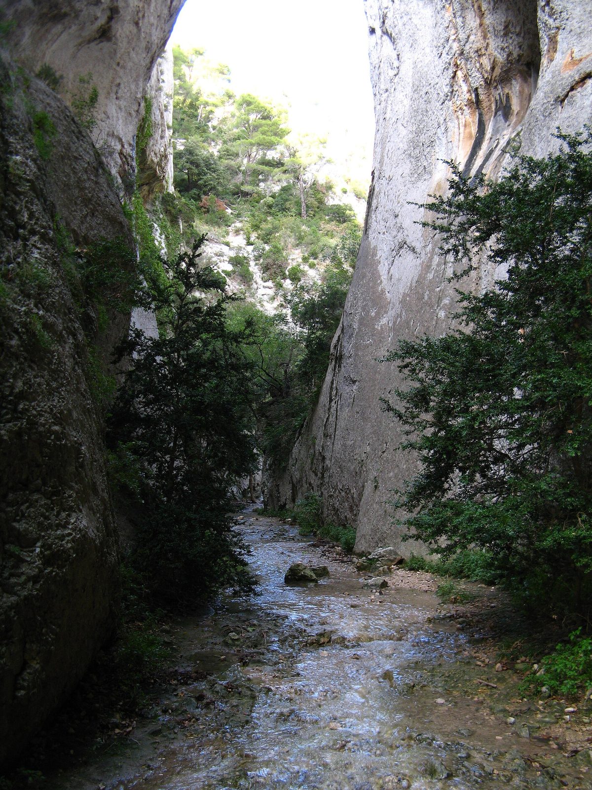 Les gorges du Régalon