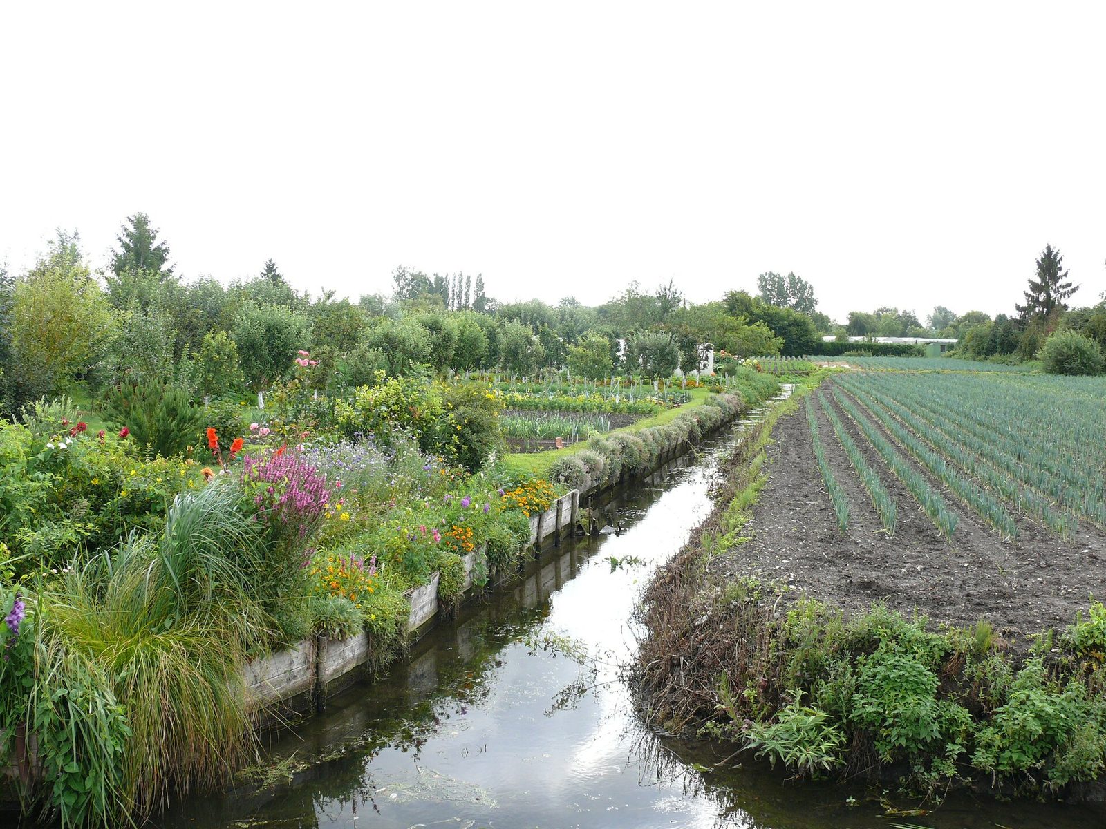 Les Hortillonnages d'Amiens