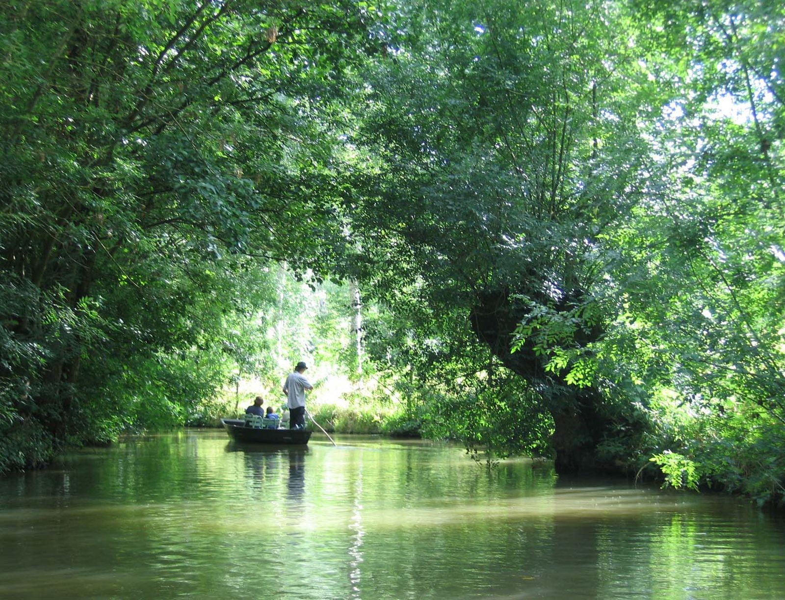 Les Oiseaux du Marais Poitevin