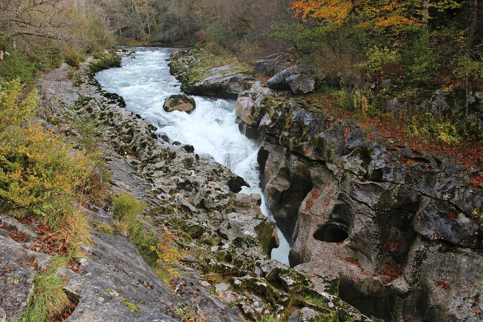 Les pertes de la Valserine