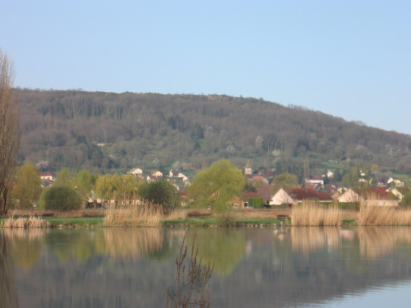 Ludolac