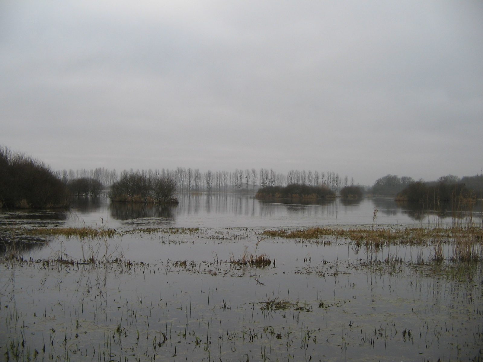 Marais de Goulaine