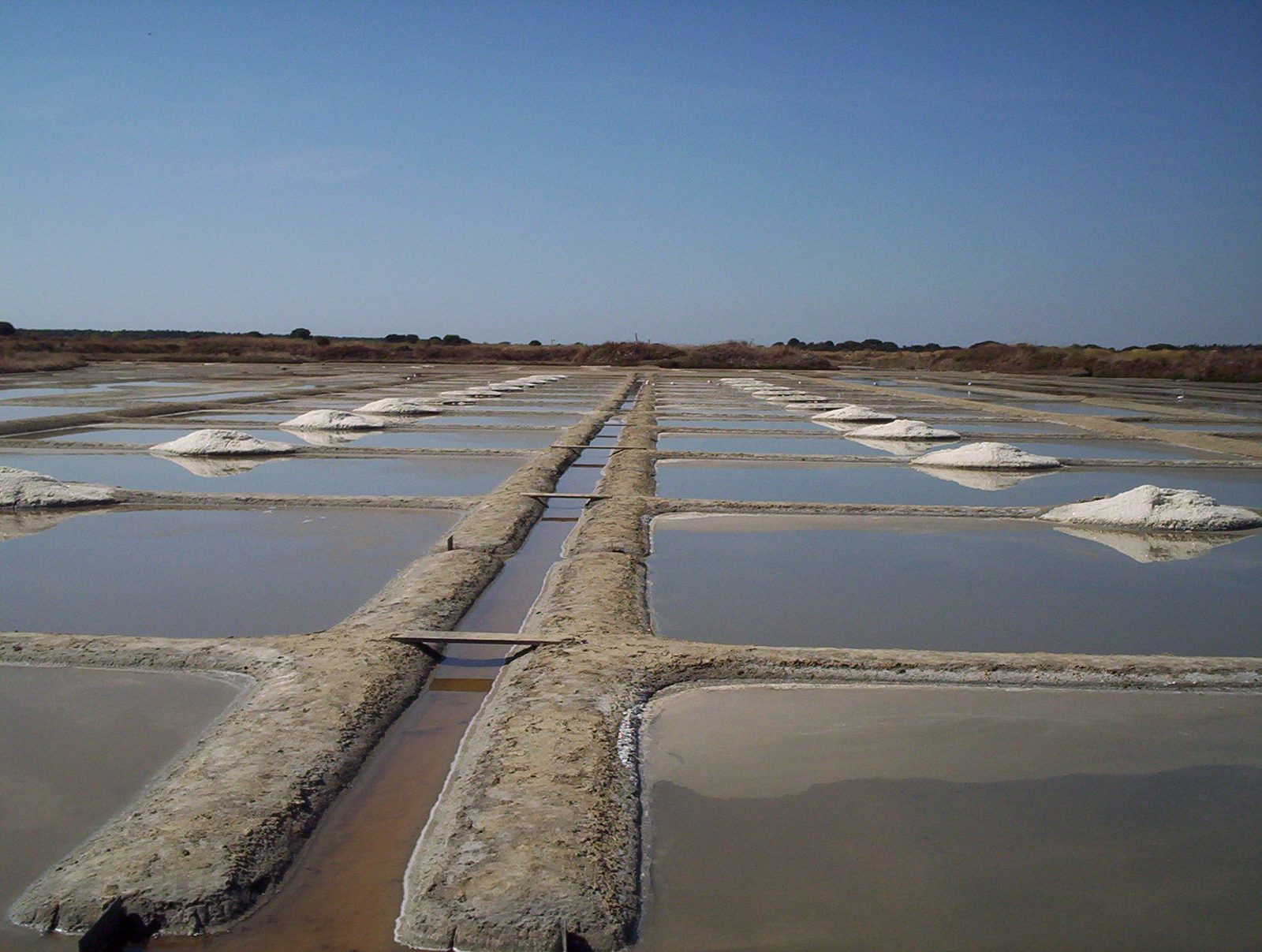 Marais salants de Guérande