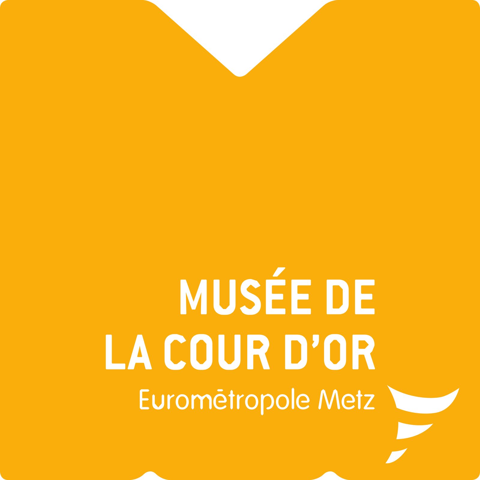 Musée de la Cour d'Or