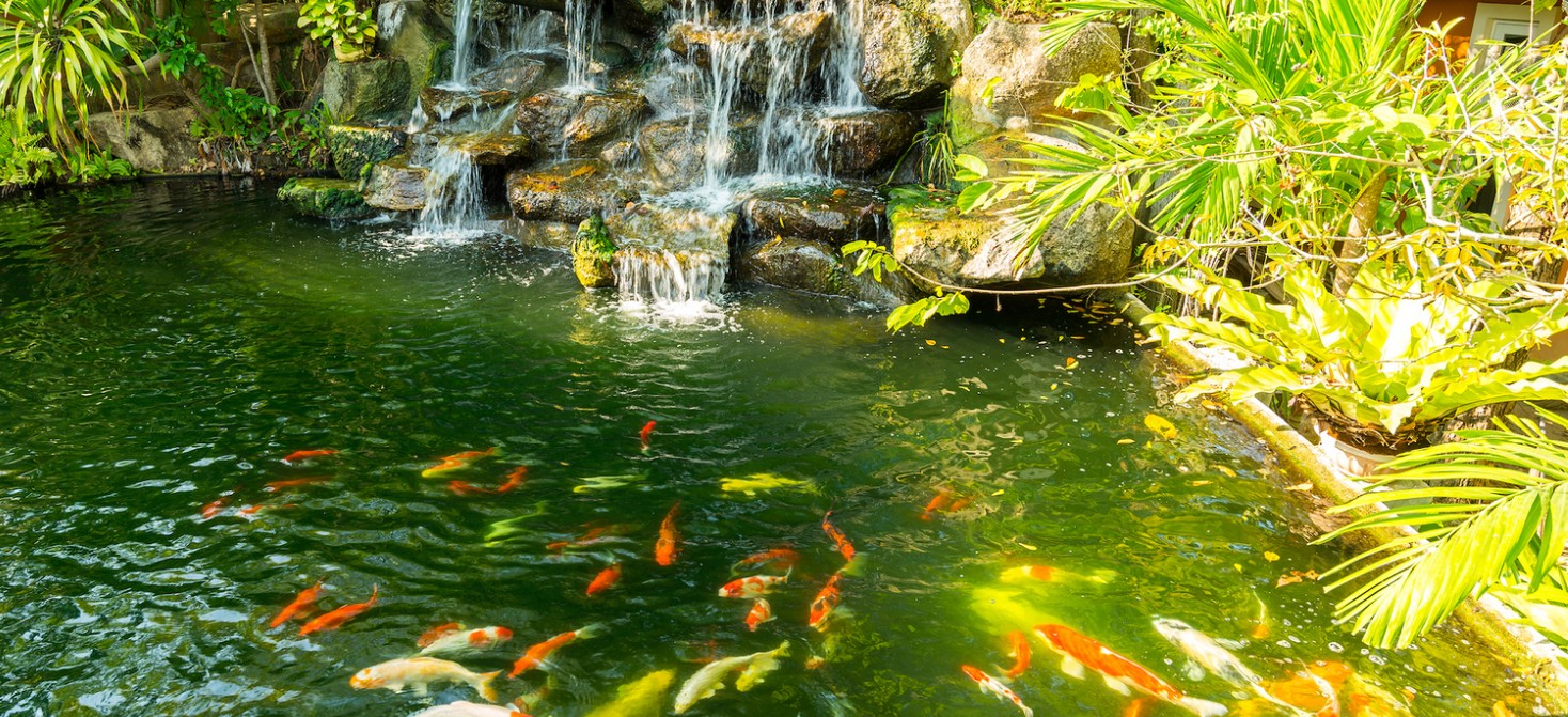 Musée vivant de la plante aquatique