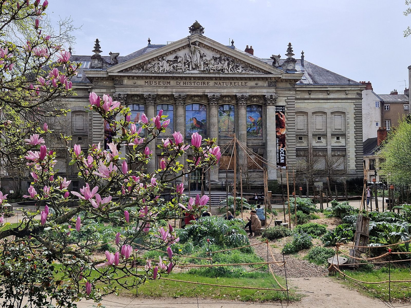 Muséum d'histoire naturelle de Nantes