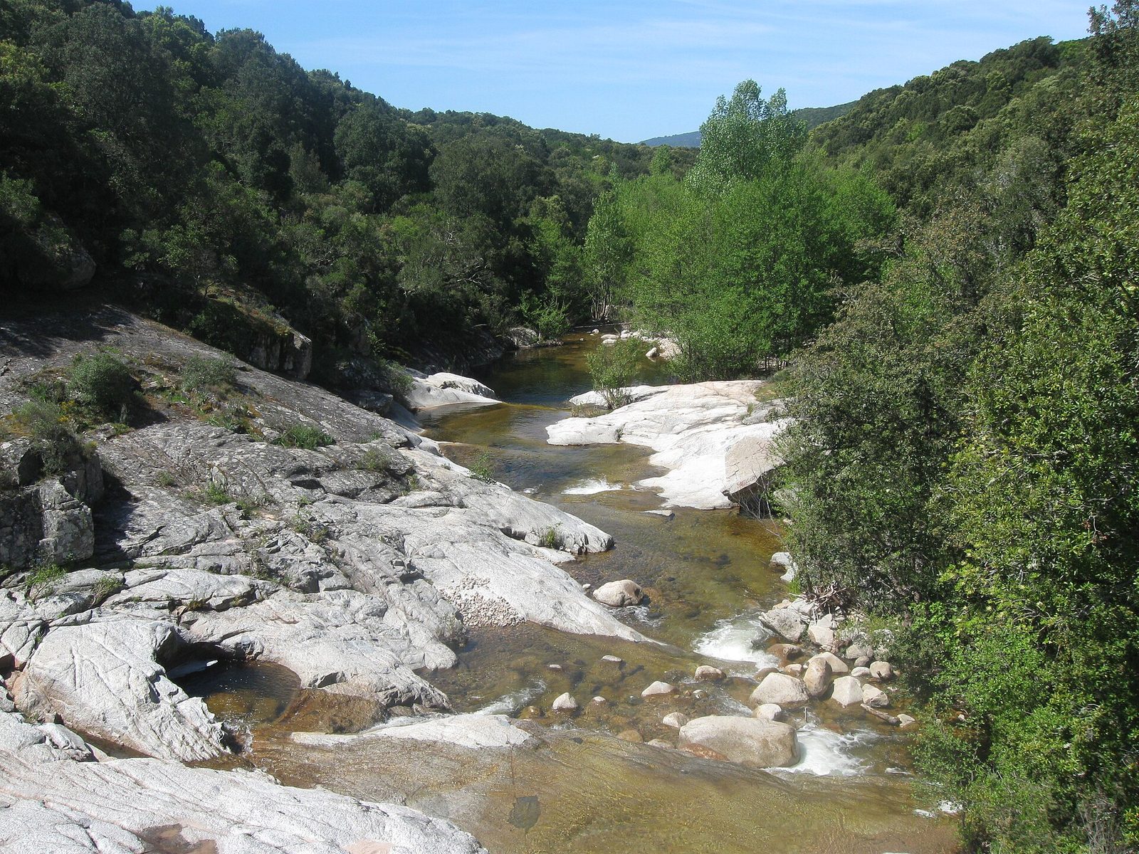 L'Ortolo