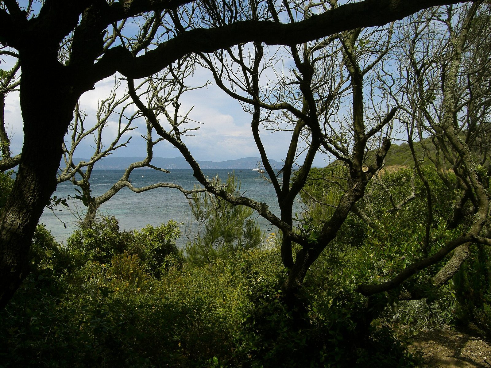 Parc National de Port Cros