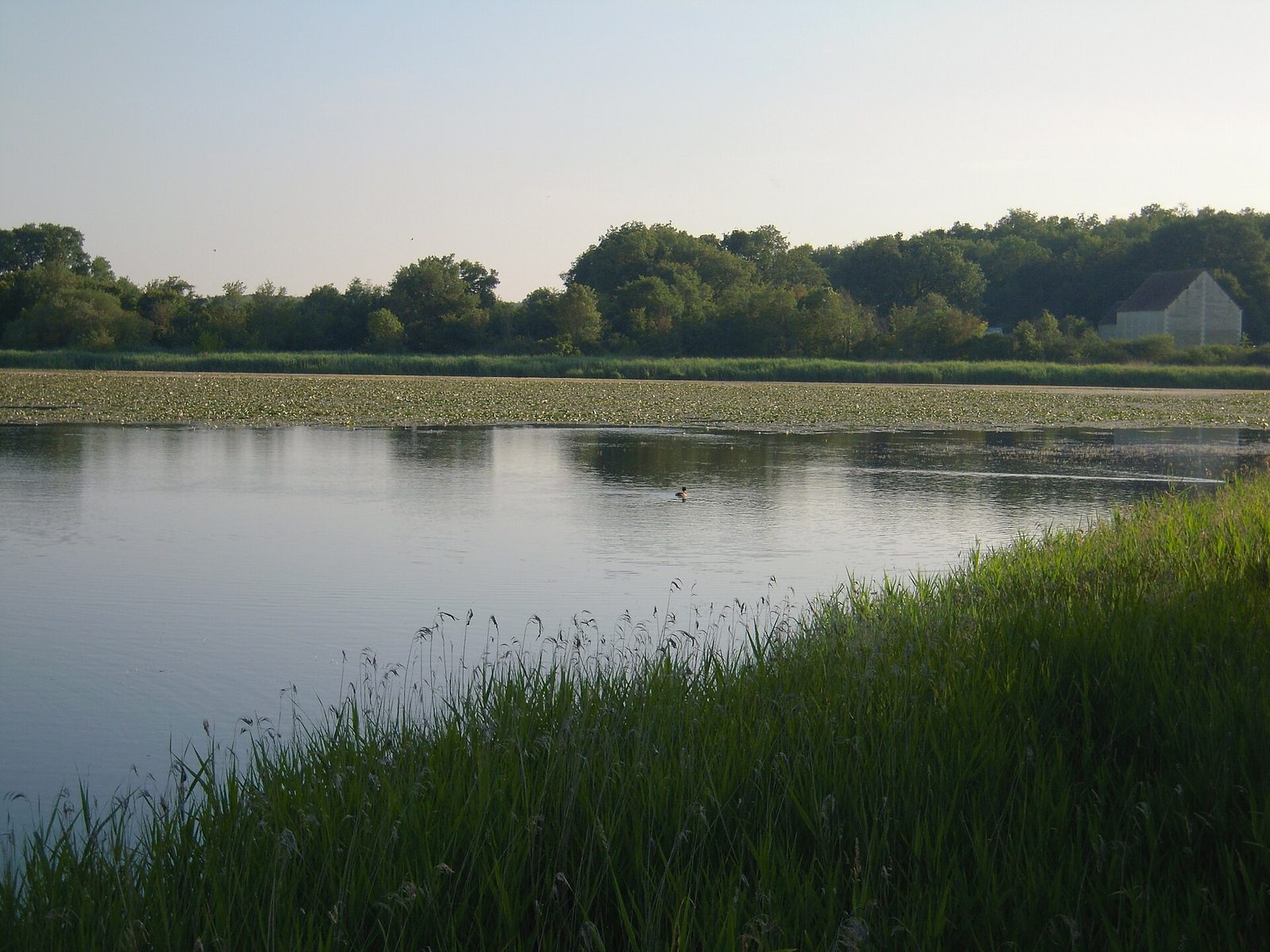 Parc naturel régional de la Brenne