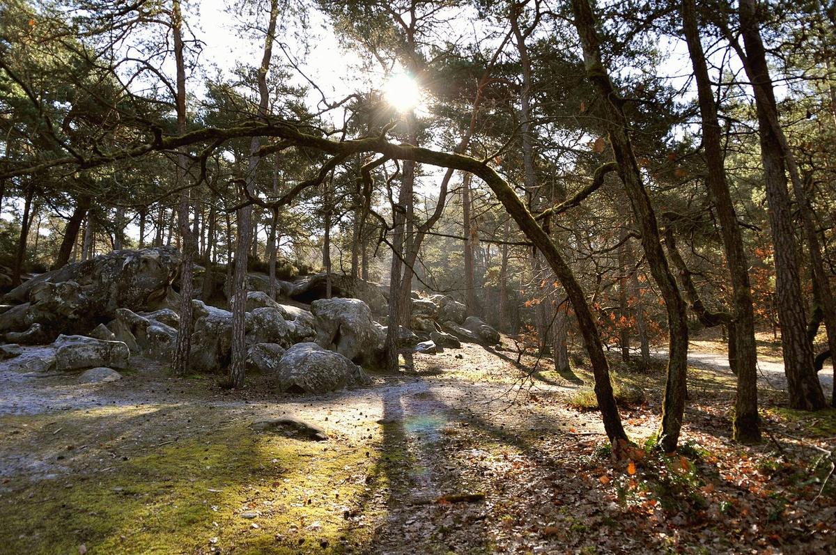 Parc naturel régional du Gâtinais