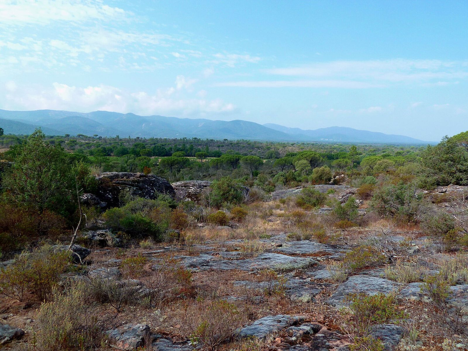 Plaine des Maures
