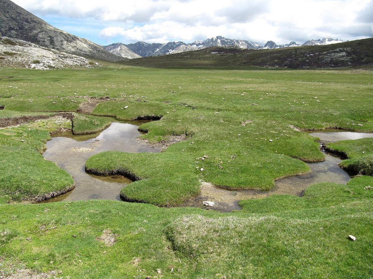 Pozzines du Lac de Nino
