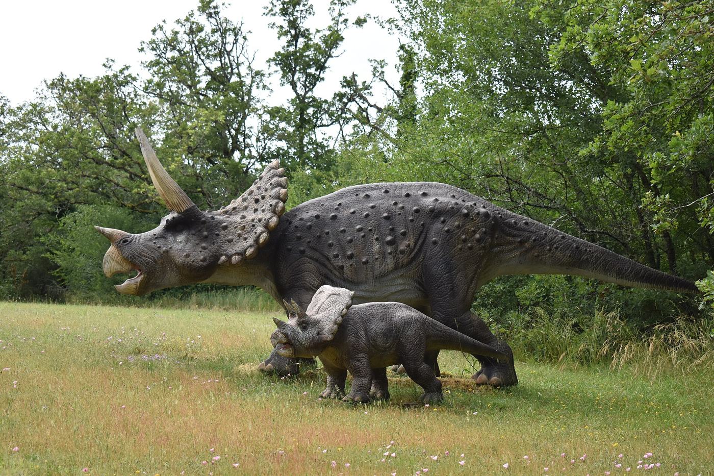 Prehisto Dino Parc