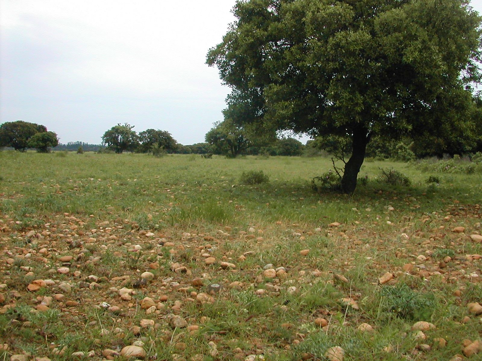 Réserve Naturelle Coussouls de Crau