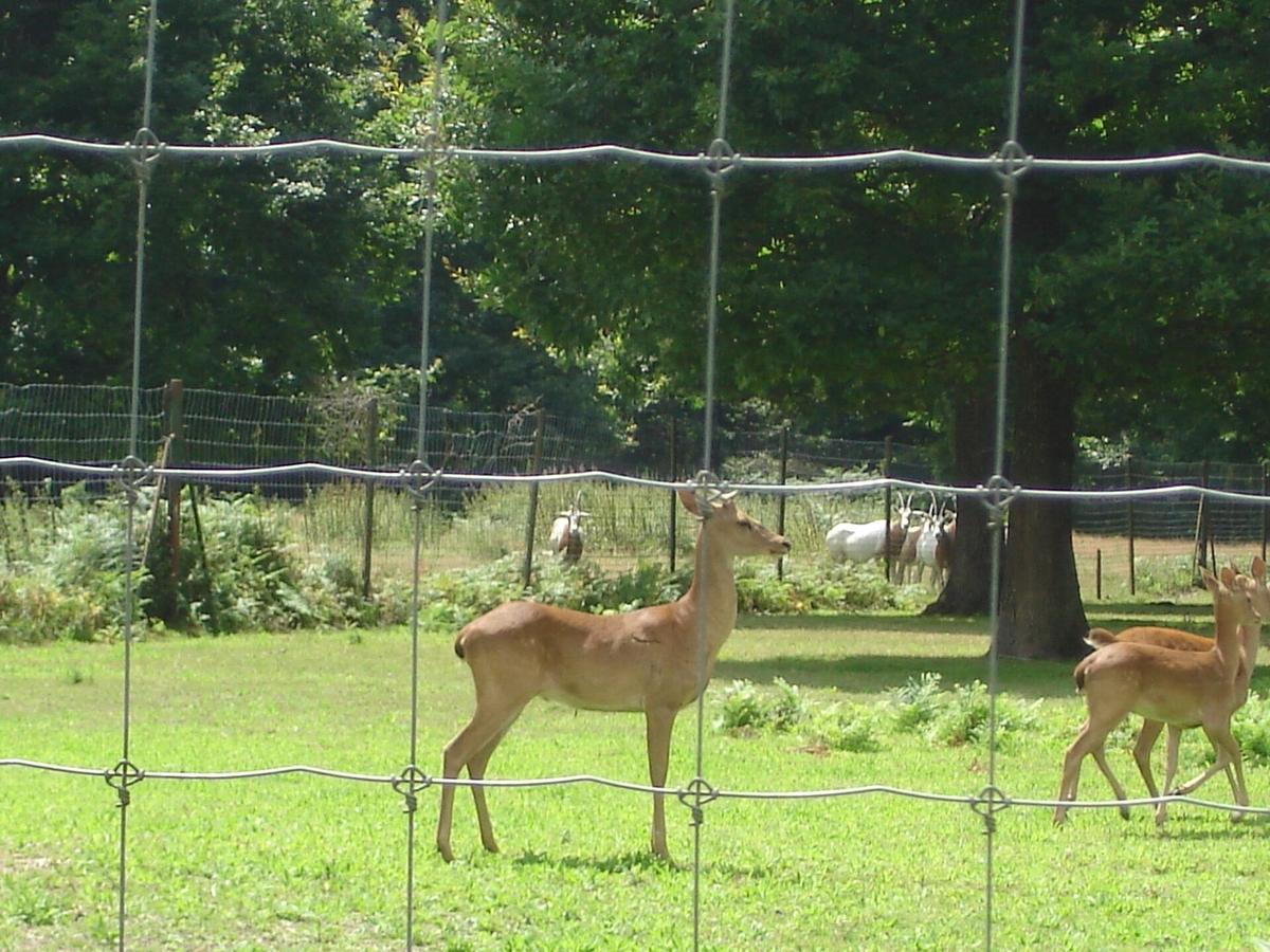 Réserve zoologique de la Haute Touche
