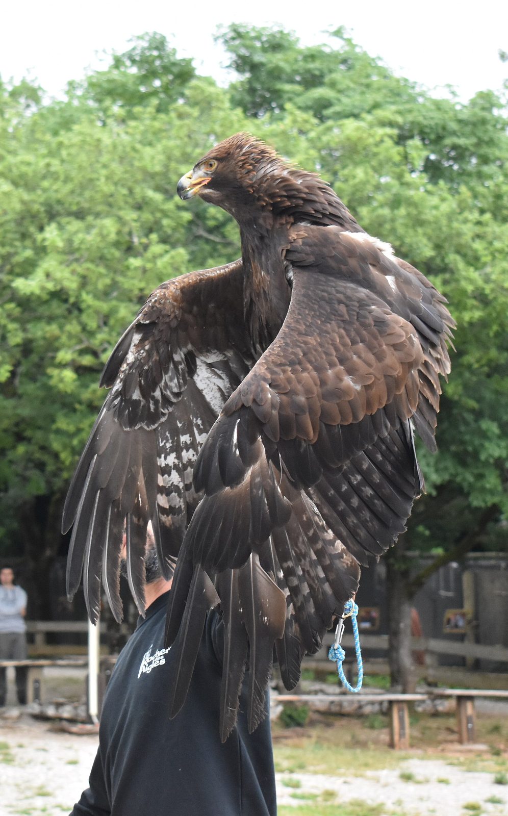 Rocher des Aigles