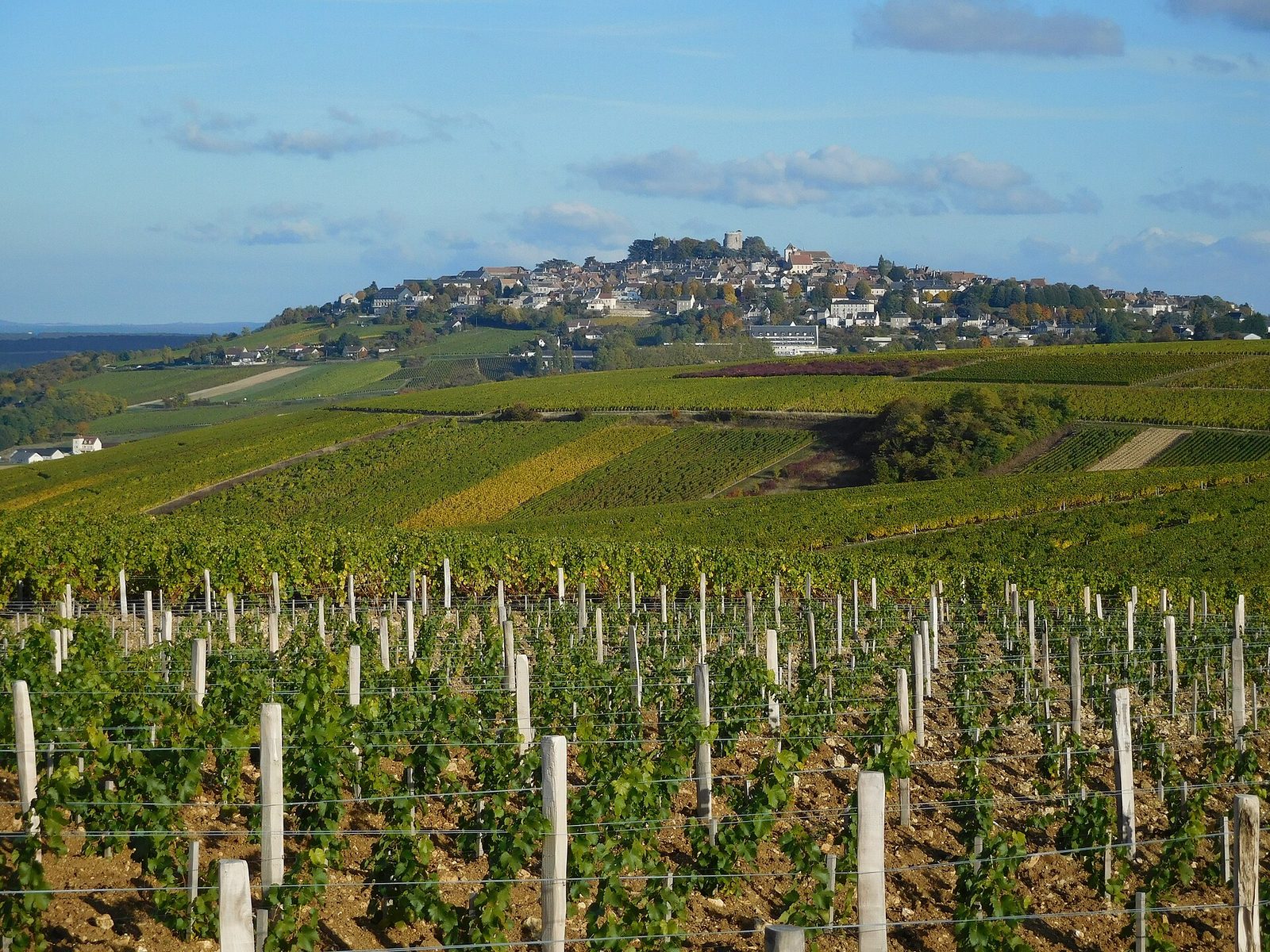 Sancerre