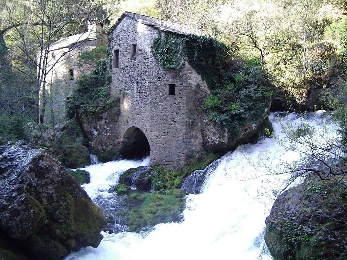 Source de lafoux