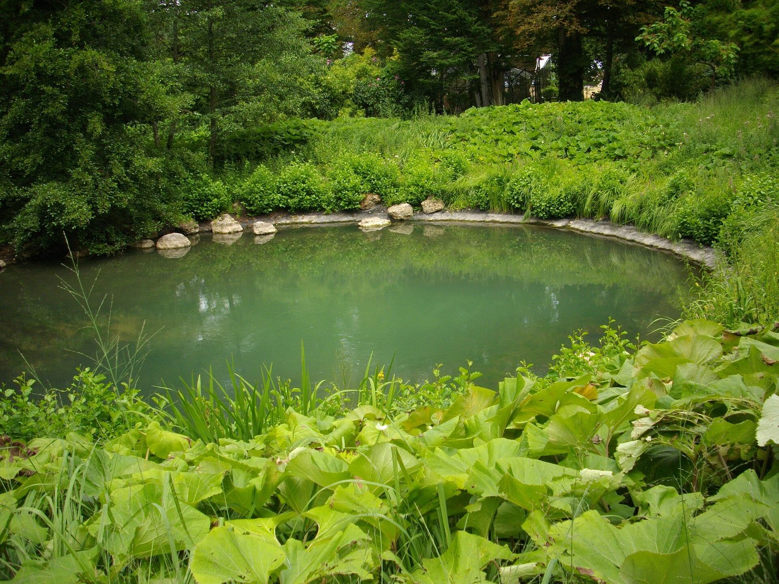 Source du Loiret