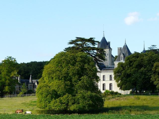 Château de Ternay