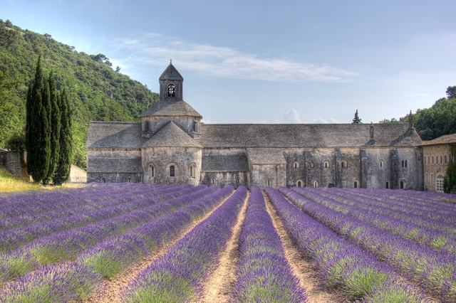 Abbaye de Sénanque