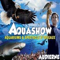 Aquashow