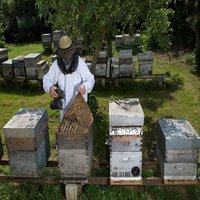 Les Ateliers de l'Abeille