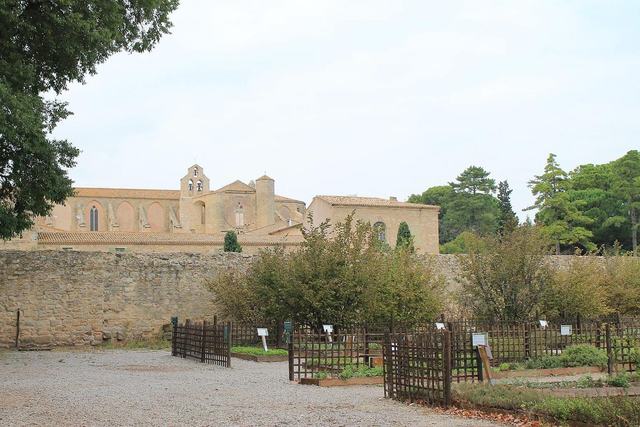 Abbaye de Valmagne