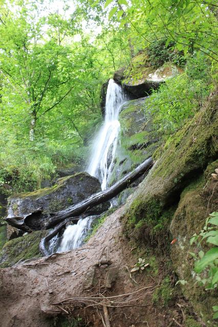 Cascade de Brisecou