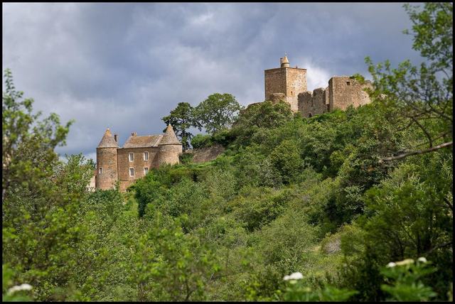 Château de Brancion