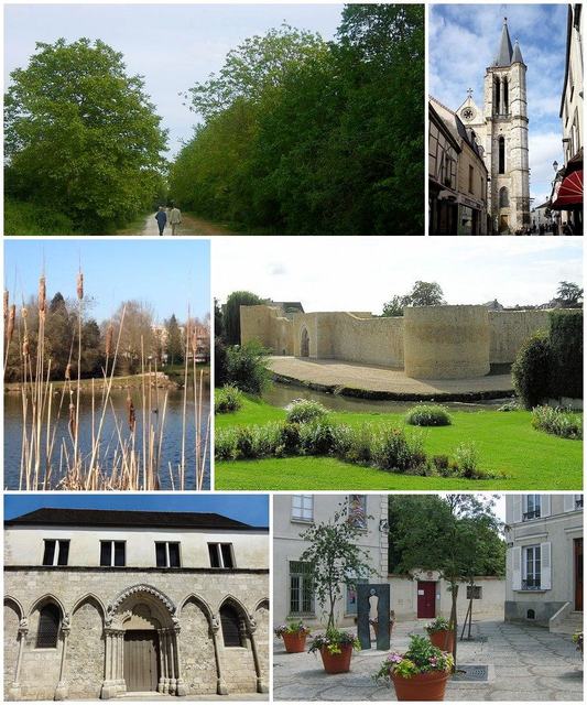 Château de Brie-Comte-Robert