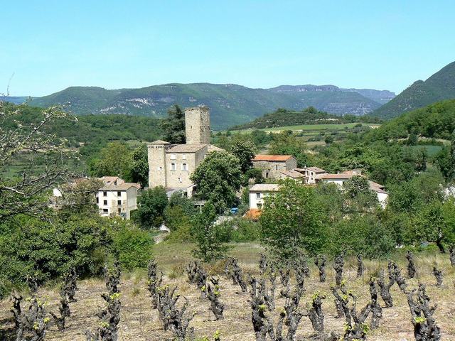 Château de Fozières