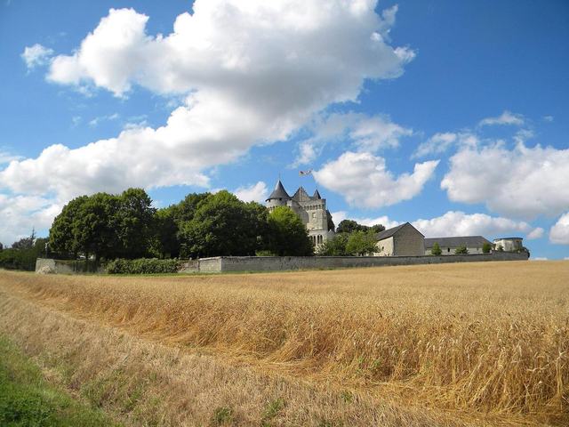 Château de la Motte d'Usseau
