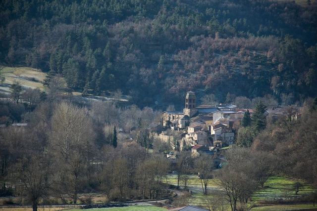 Cloître de l'abbaye de Lavaudieu