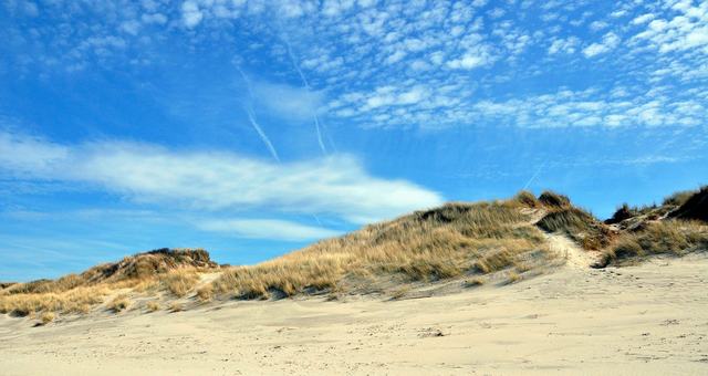 Dunes de Flandres