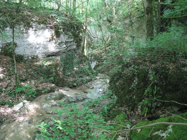 Gorges de la Vingeanne